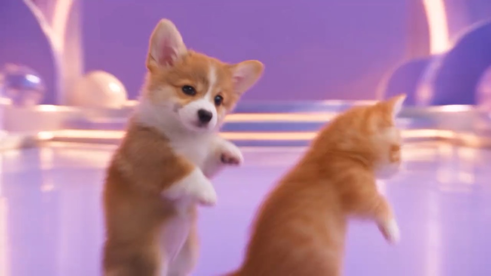 Pastel Corgi Bounce dance reference preview